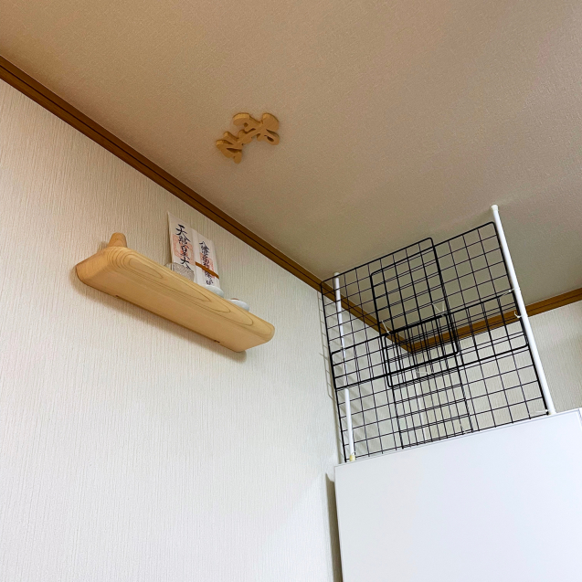 やめてください!_d0355333_20083518.jpg