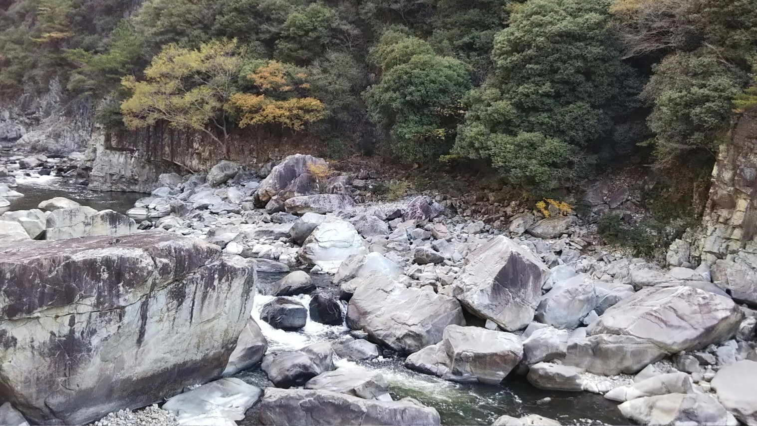 武庫川廃線敷ハイク_c0218841_19110163.jpg
