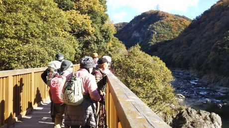 武庫川廃線敷ハイク_c0218841_19113487.jpg
