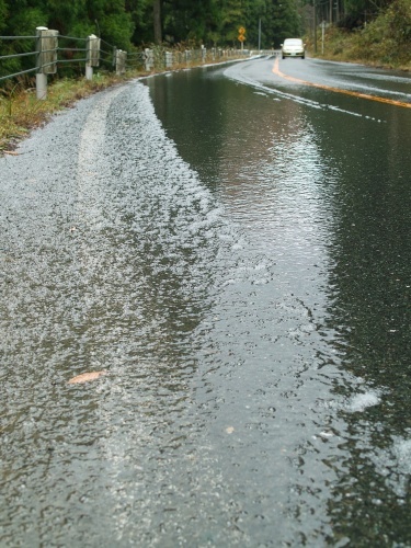 オグラス、白倉岳に冠雪・・・朽木小川よりと奥伊吹甲津原日記_d0005250_18445080.jpg
