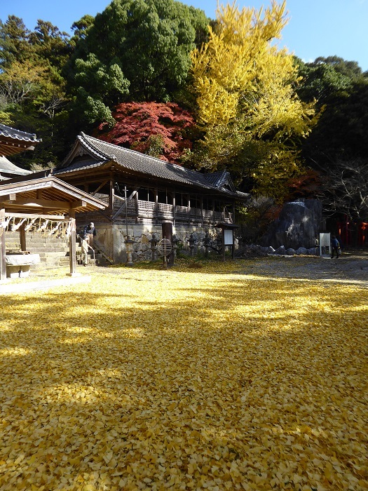 美しくて優しかった　香春町_c0222861_10142223.jpg