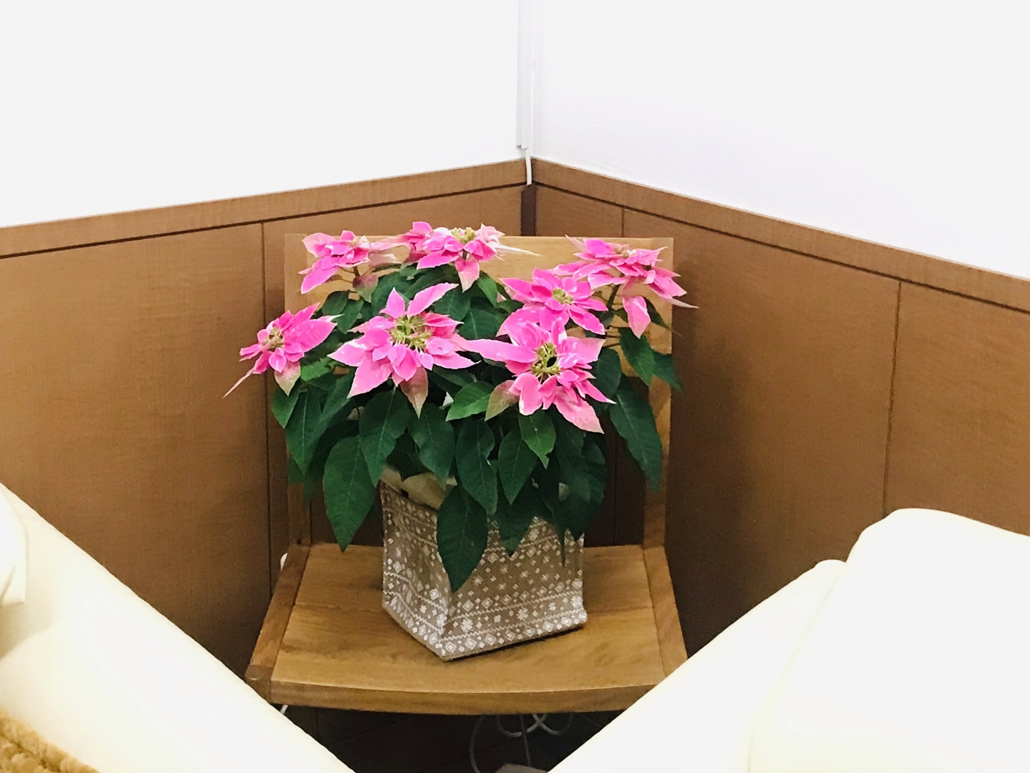 クリスマス準備を2人で_b0100062_07515459.jpeg