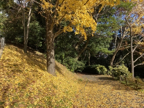 福岡市植物園　スケッチ　水彩_f0176370_16483674.jpg