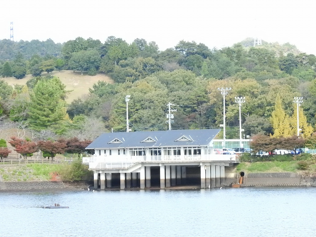 『中池のホシハジロとカルガモとマガモとカイツブリとオオバン～』_d0054276_20014210.jpg