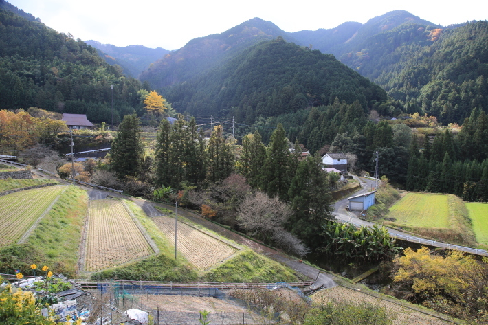 イチョウのライトアップ_c0358784_22262273.jpg
