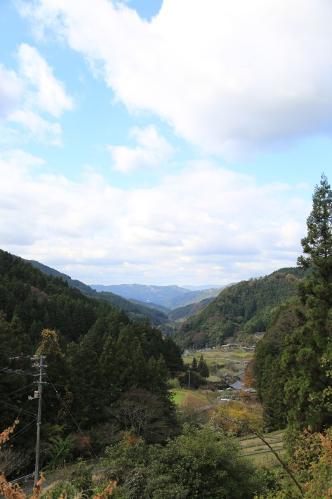 イチョウのライトアップ_c0358784_22302347.jpg