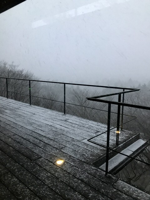 初雪！_d0339896_20070068.jpeg