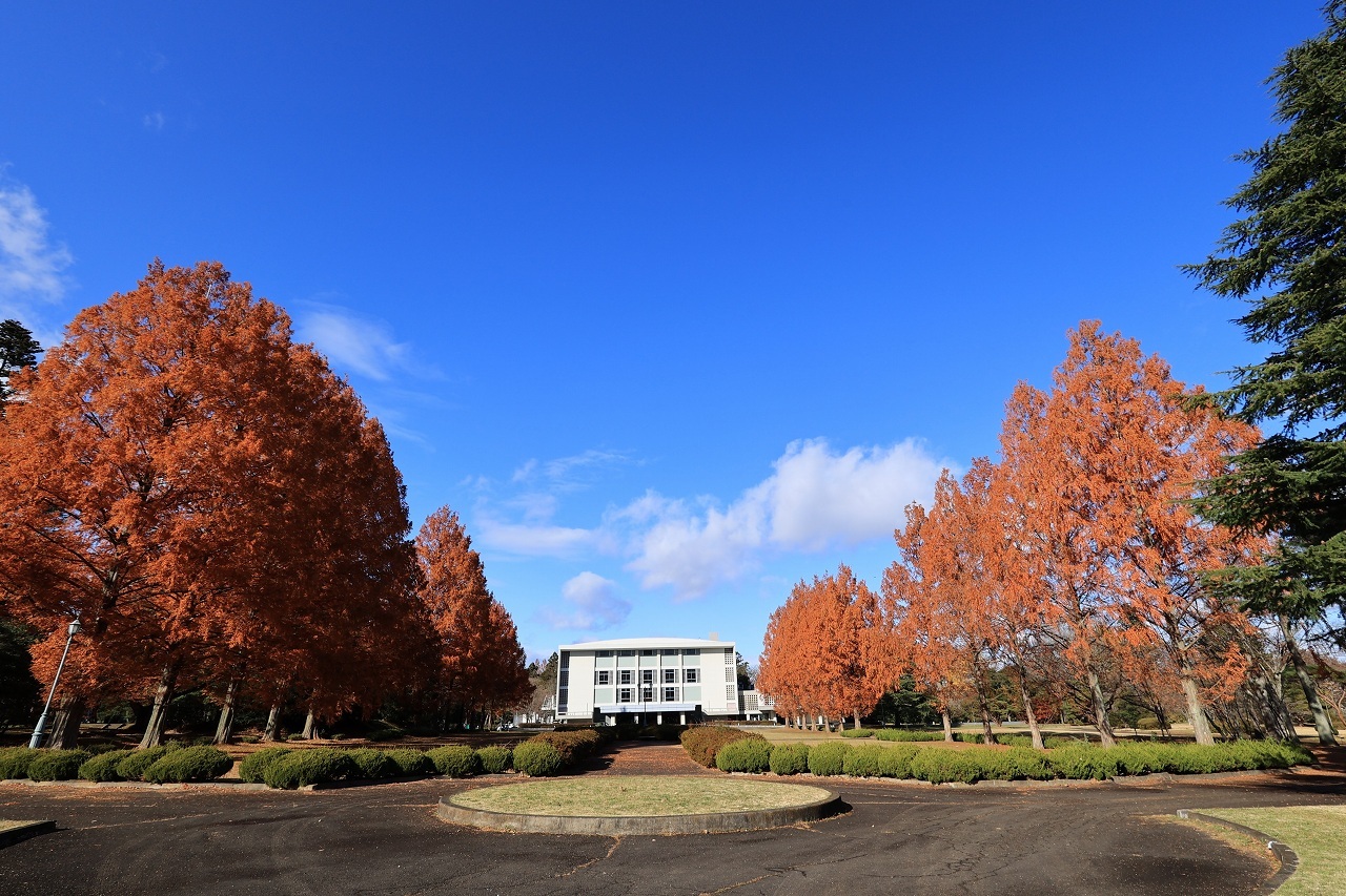RF16mm F2.8 STMテスト part2「建物」_b0050305_19332132.jpg