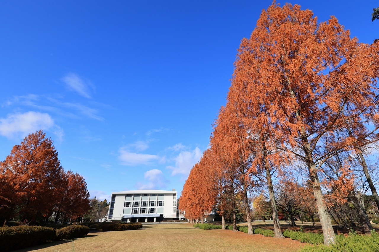 RF16mm F2.8 STMテスト part2「建物」_b0050305_21231015.jpg