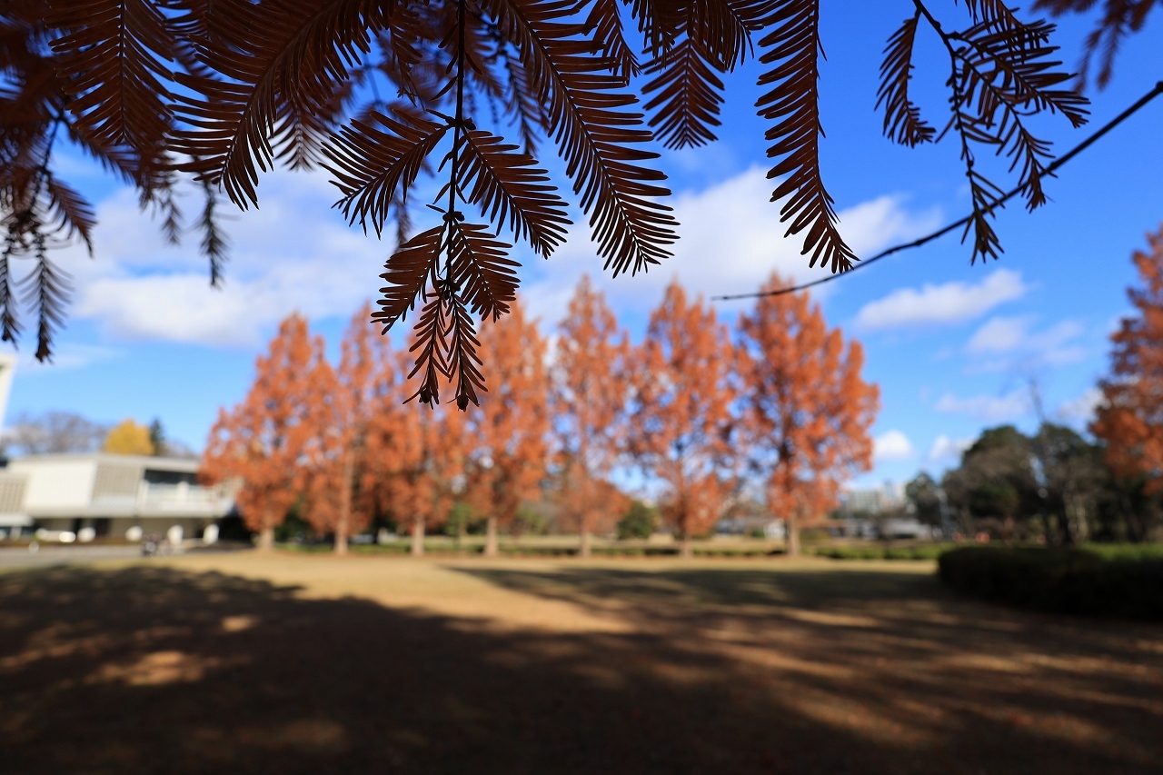 RF16mm F2.8 STMテスト part2「建物」_b0050305_21241178.jpg