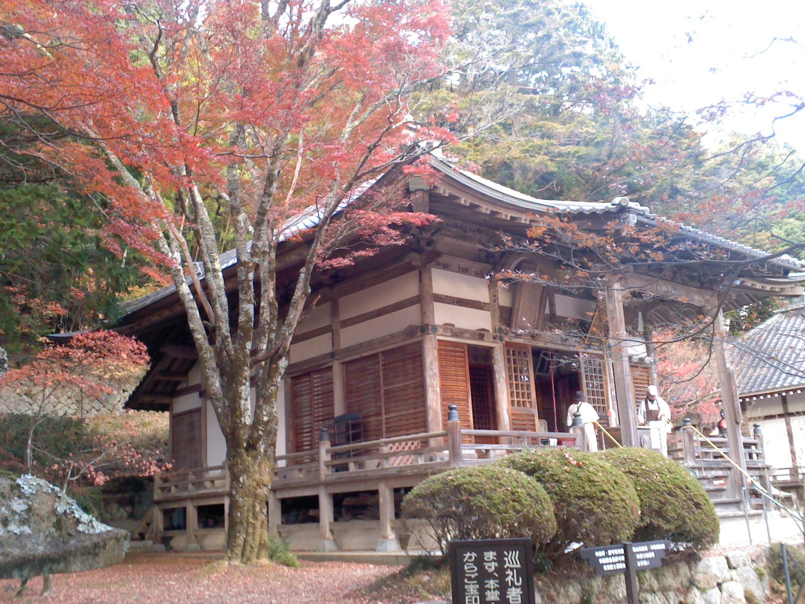 花山院菩提寺_b0109511_20044949.jpg