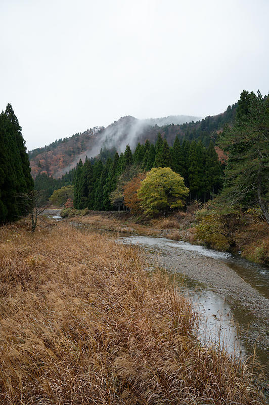 朽木の枯れ紅葉景色_f0032011_19322742.jpg