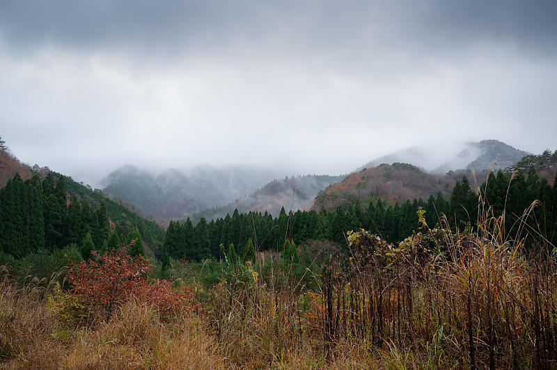 朽木の枯れ紅葉景色_f0032011_19322766.jpg