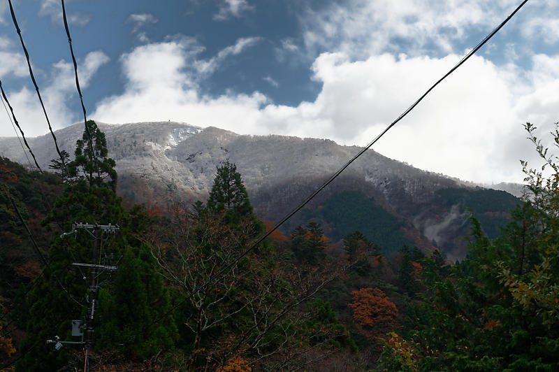 朽木の枯れ紅葉景色_f0032011_19335212.jpg
