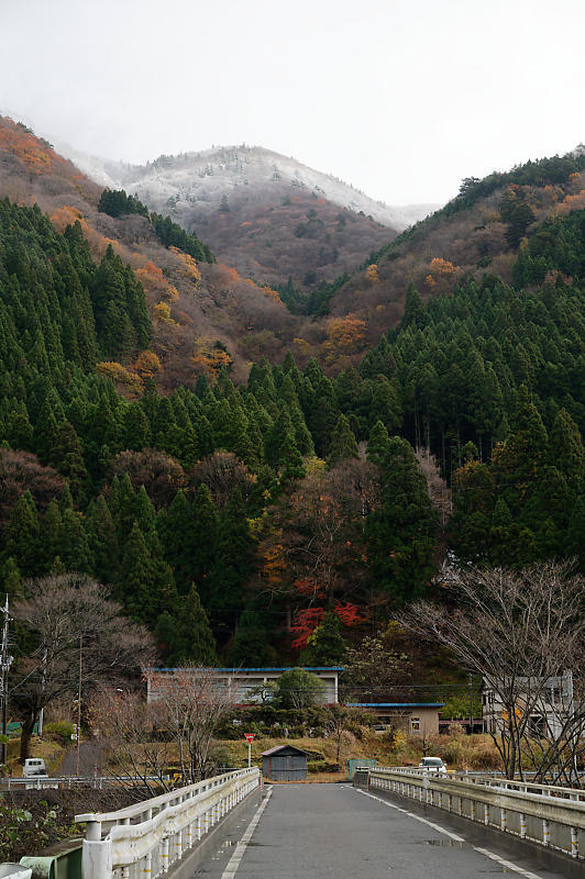 朽木の枯れ紅葉景色_f0032011_19335213.jpg