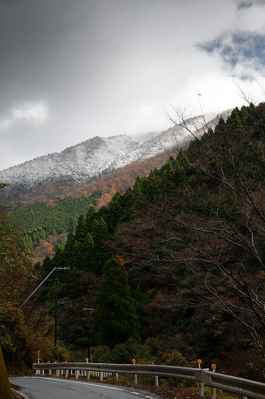 朽木の枯れ紅葉景色_f0032011_19335284.jpg