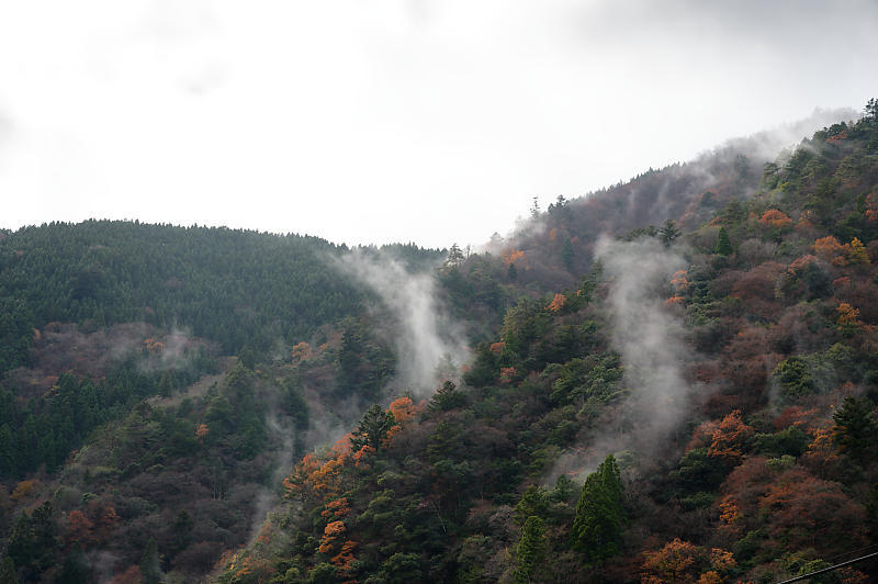 朽木の枯れ紅葉景色_f0032011_19335293.jpg