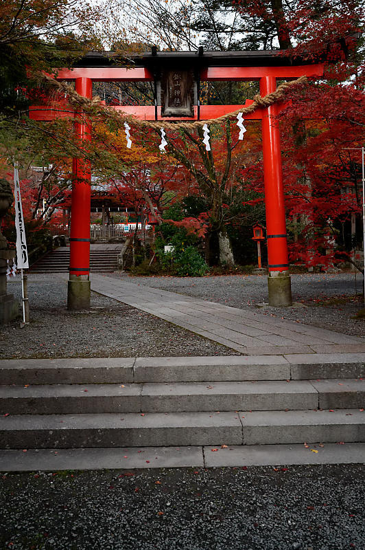 2021年京都の紅葉@亀岡 鍬山神社_f0032011_19462222.jpg