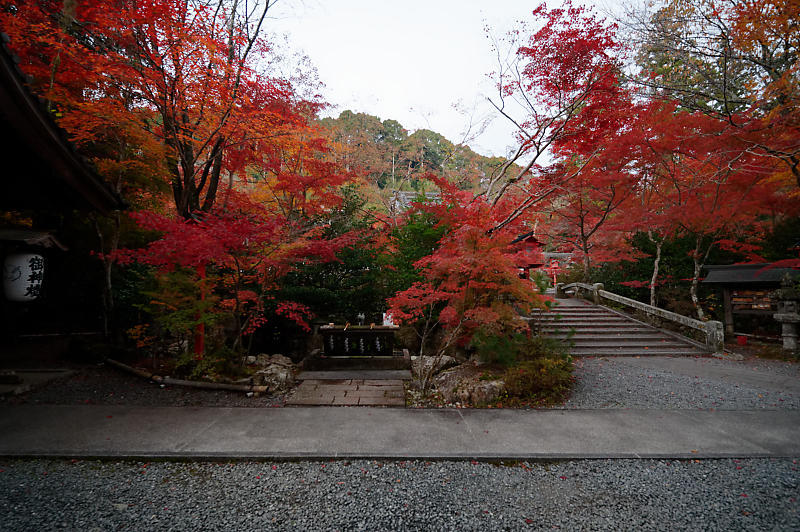 2021年京都の紅葉@亀岡 鍬山神社_f0032011_19462225.jpg