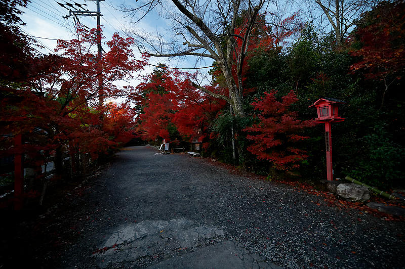2021年京都の紅葉@亀岡 鍬山神社_f0032011_19462230.jpg