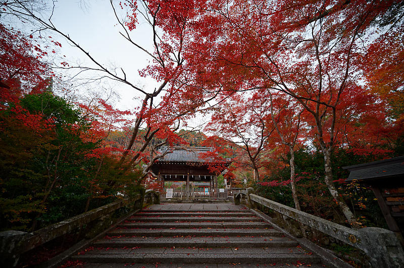 2021年京都の紅葉@亀岡 鍬山神社_f0032011_19462352.jpg