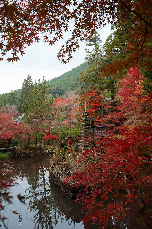 2021年京都の紅葉@亀岡 鍬山神社_f0032011_19471012.jpg