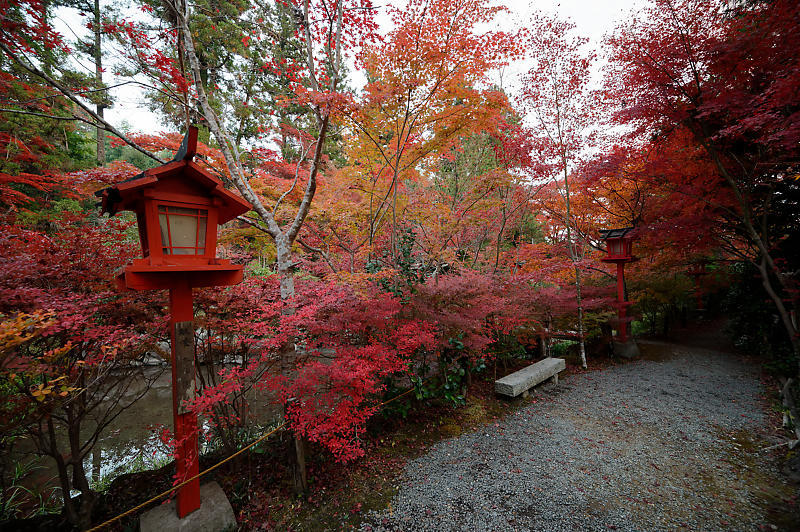 2021年京都の紅葉@亀岡 鍬山神社_f0032011_19471063.jpg