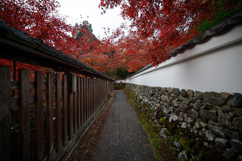 2021年京都の紅葉@亀岡 鍬山神社_f0032011_19471070.jpg