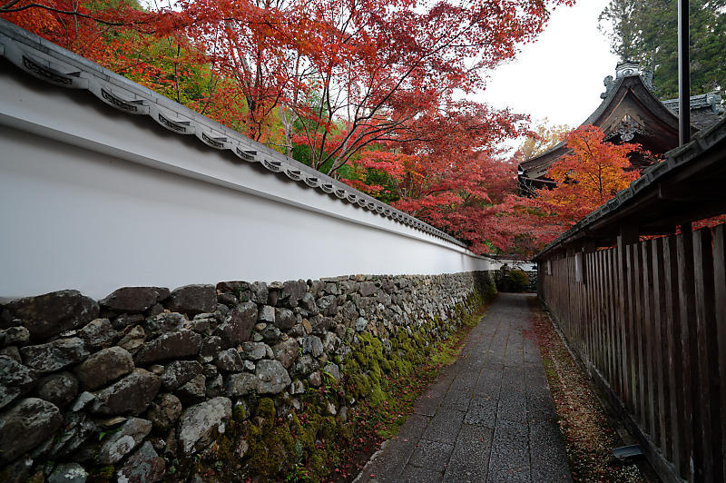 2021年京都の紅葉@亀岡 鍬山神社_f0032011_19471083.jpg