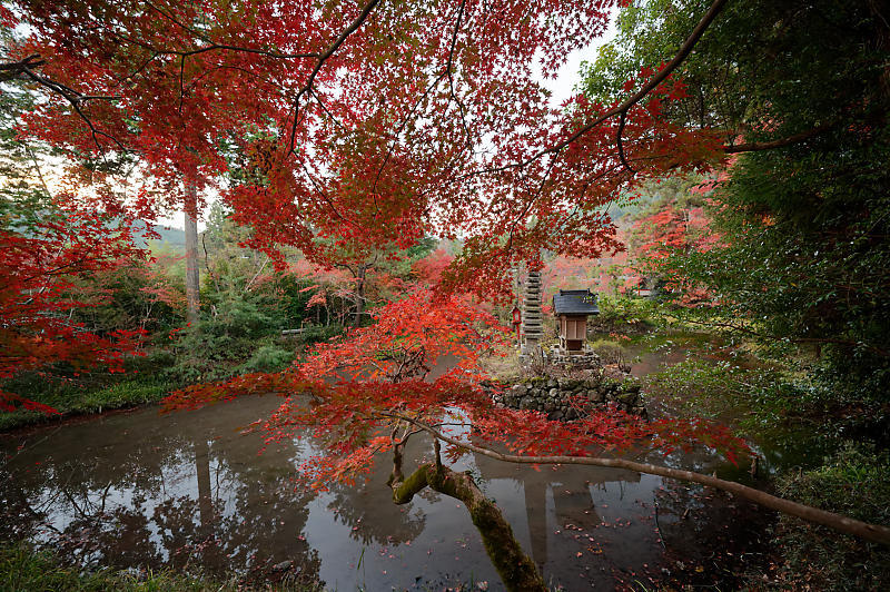 2021年京都の紅葉@亀岡 鍬山神社_f0032011_19471130.jpg