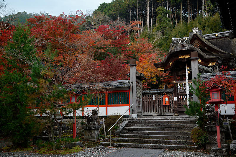 2021年京都の紅葉@亀岡 鍬山神社_f0032011_19481534.jpg