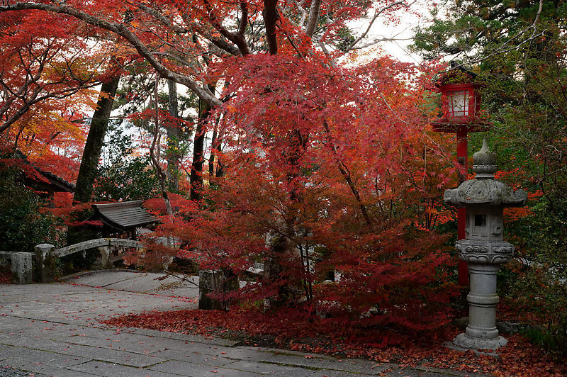 2021年京都の紅葉@亀岡 鍬山神社_f0032011_19481698.jpg