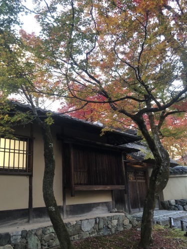 名残の紅葉、宝厳院へ_a0197730_15233044.jpeg