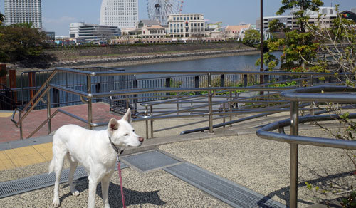 Vol.1575 水際線プロムナード_a0117039_19540830.jpg