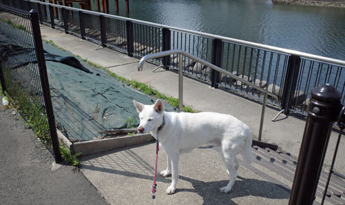 Vol.1575 水際線プロムナード_a0117039_19541792.jpg