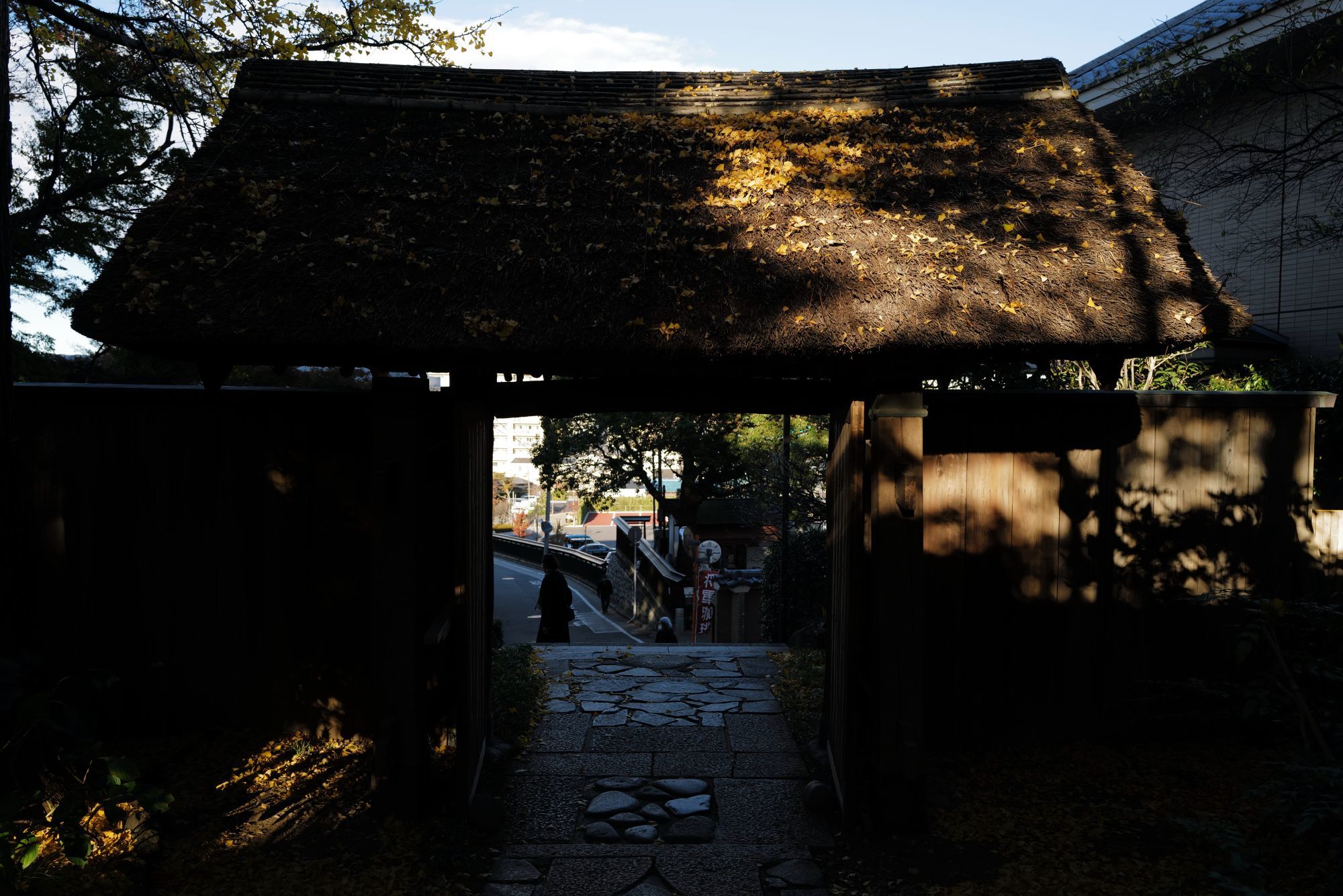 【重要文化財｜旧徳川家 松戸戸定邸】　行き方、見学のしかた　（千葉県）_b0212342_08252277.jpg