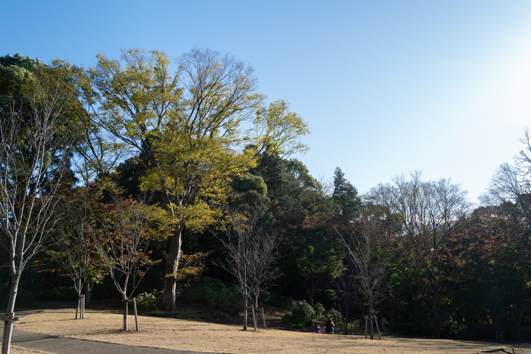 【重要文化財｜旧徳川家 松戸戸定邸】　行き方、見学のしかた　（千葉県）_b0212342_08560153.jpg