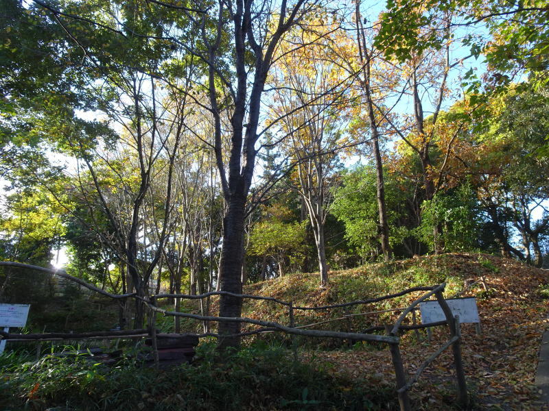 ダンチクと格闘・・・定例活動日_c0108460_14192320.jpg