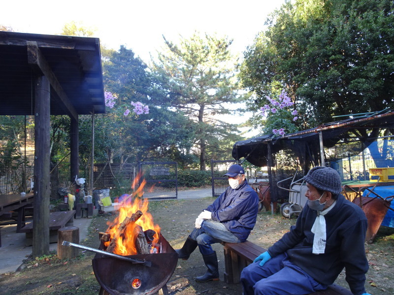 ダンチクと格闘・・・定例活動日_c0108460_14205931.jpg