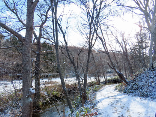 初冬の西岡水源地公園_f0083977_09385135.jpg