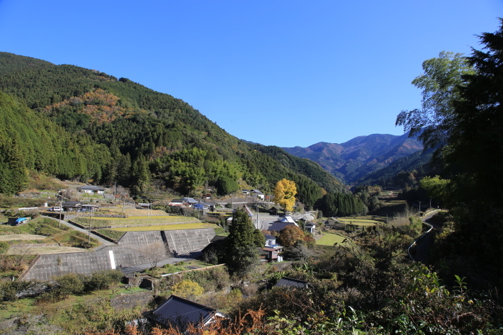 大根洗い_c0358784_18102893.jpg