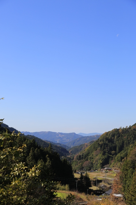 大根洗い_c0358784_18133667.jpg
