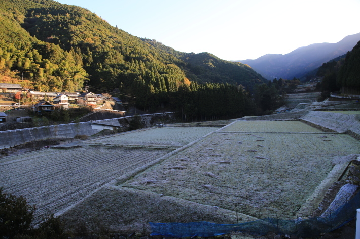 大根洗い_c0358784_18171355.jpg
