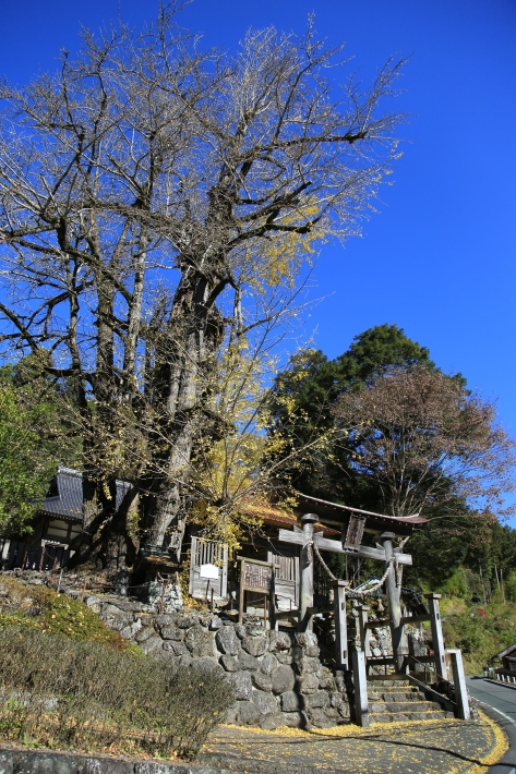 大根洗い_c0358784_18251068.jpg