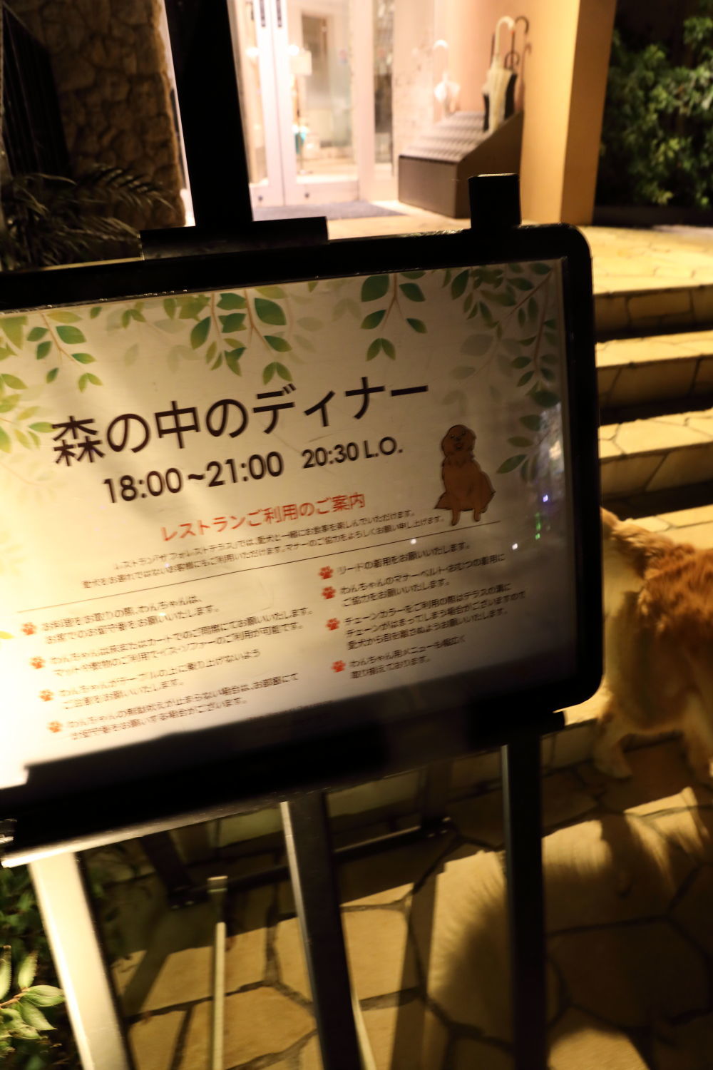 ドギーズアイランド(1)_b0275998_18310805.jpg