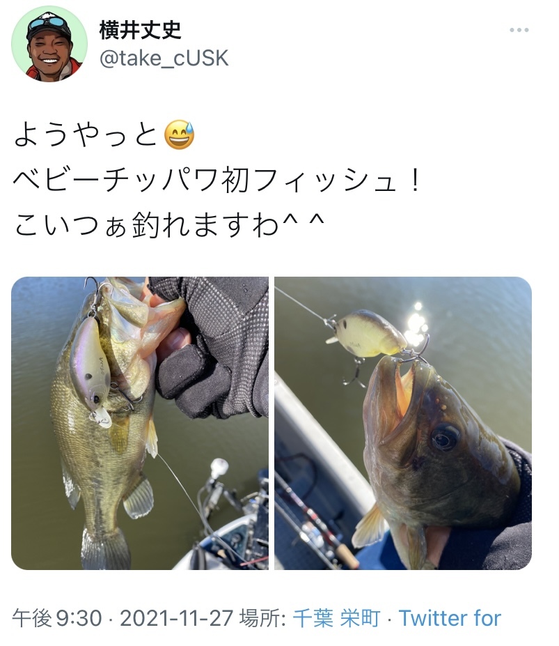 ベビーチッパワプロジェクト_d0145899_14330179.jpeg
