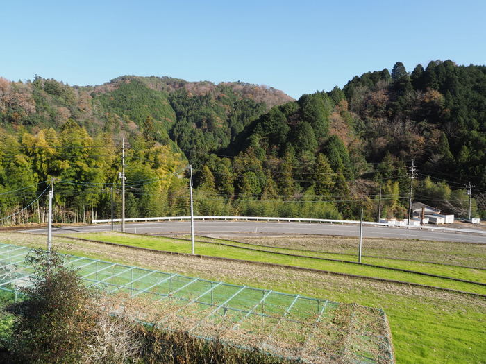 いいお天気_c0116915_23583579.jpg