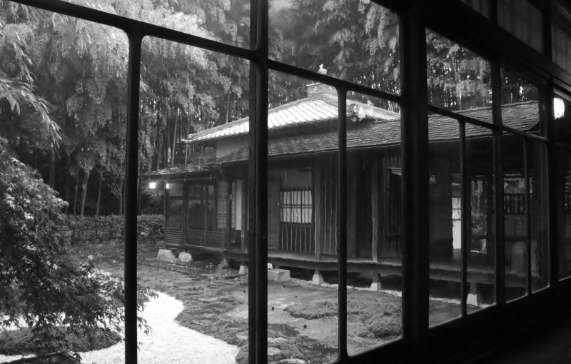 喜びと雨と、頭を抱える_b0220318_16405658.jpg