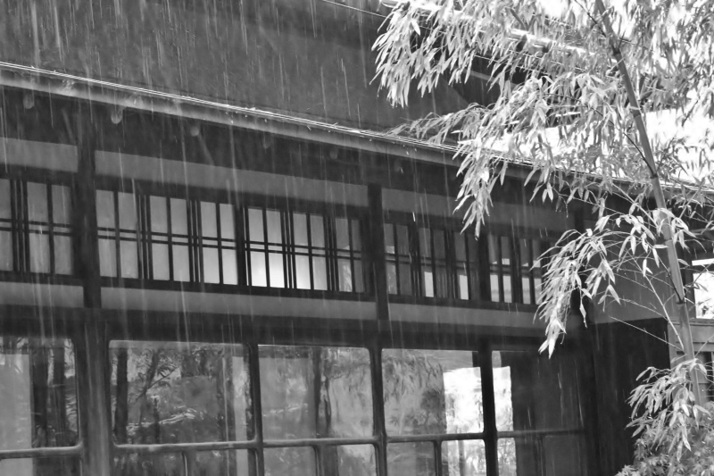 喜びと雨と、頭を抱える_b0220318_16410593.jpg