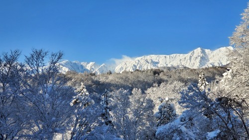 雪の到来_b0304722_10342918.jpg